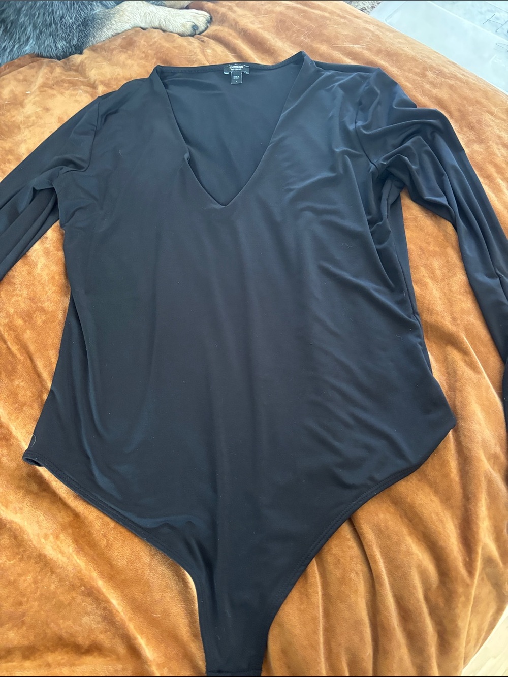 Express Black V-Neck Long Sleeve Bodysuit